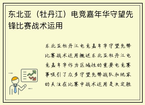东北亚（牡丹江）电竞嘉年华守望先锋比赛战术运用