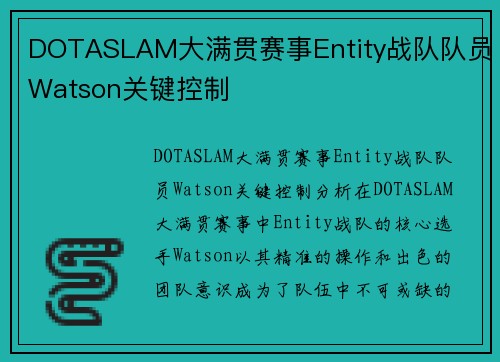 DOTASLAM大满贯赛事Entity战队队员Watson关键控制